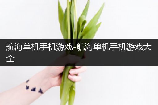 航海单机手机游戏-航海单机手机游戏大全