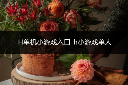 H单机小游戏入口_h小游戏单人