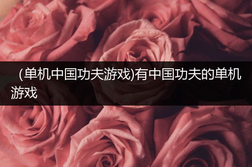 （单机中国功夫游戏)有中国功夫的单机游戏