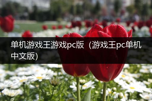 单机游戏王游戏pc版（游戏王pc单机中文版）