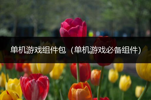 单机游戏组件包（单机游戏必备组件）