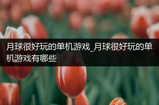 月球很好玩的单机游戏_月球很好玩的单机游戏有哪些