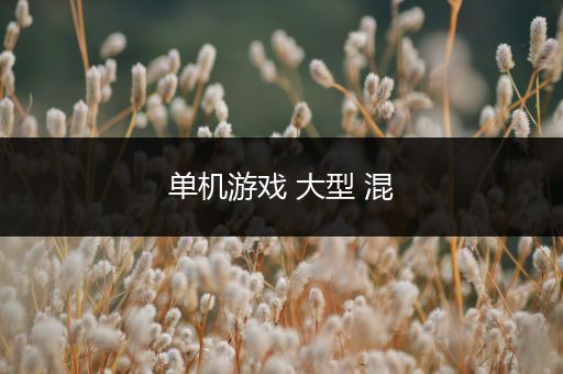 单机游戏 大型 混