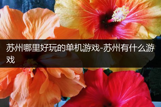 苏州哪里好玩的单机游戏-苏州有什么游戏