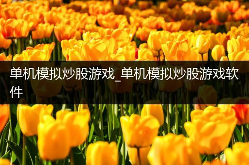 单机模拟炒股游戏_单机模拟炒股游戏软件