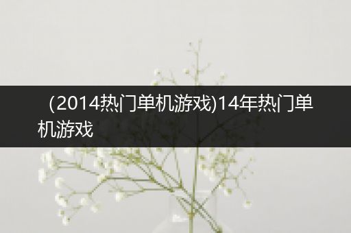 （2014热门单机游戏)14年热门单机游戏
