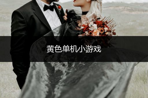 黄色单机小游戏