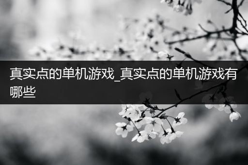 真实点的单机游戏_真实点的单机游戏有哪些