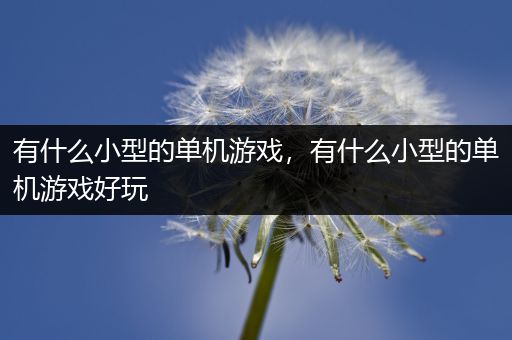 有什么小型的单机游戏，有什么小型的单机游戏好玩