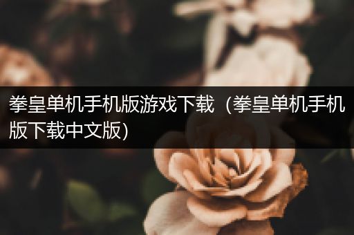 拳皇单机手机版游戏下载（拳皇单机手机版下载中文版）