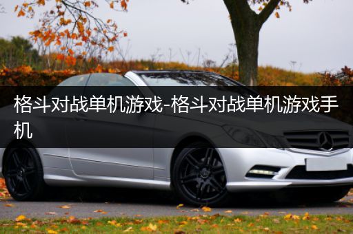 格斗对战单机游戏-格斗对战单机游戏手机