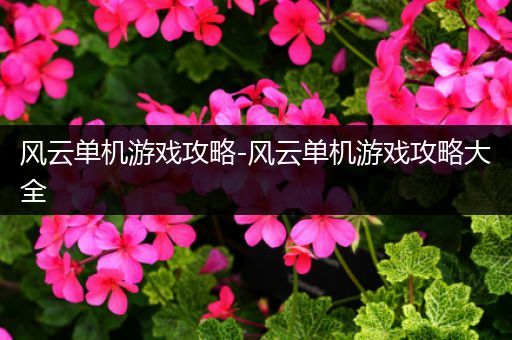 风云单机游戏攻略-风云单机游戏攻略大全