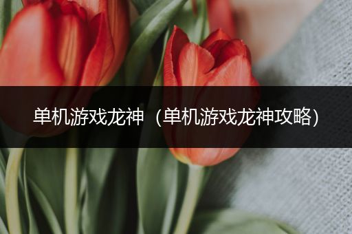 单机游戏龙神（单机游戏龙神攻略）