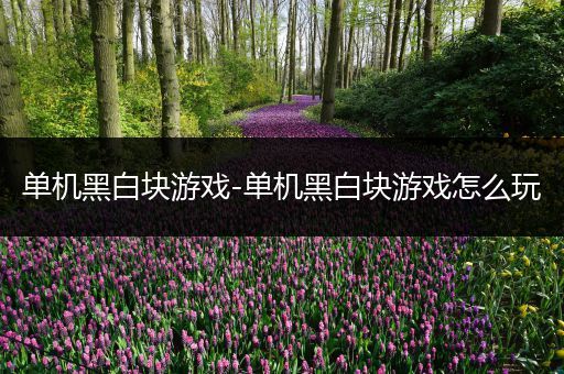 单机黑白块游戏-单机黑白块游戏怎么玩