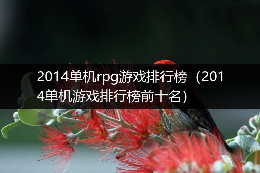 2014单机rpg游戏排行榜（2014单机游戏排行榜前十名）