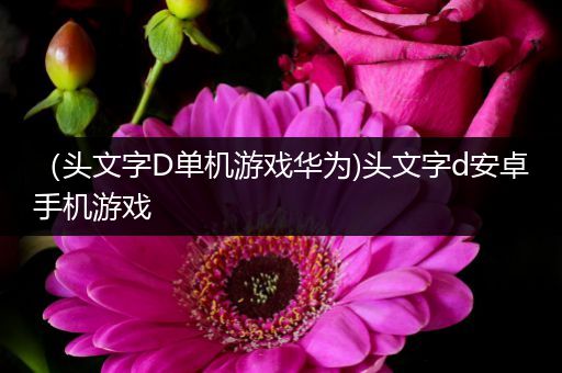 （头文字D单机游戏华为)头文字d安卓手机游戏