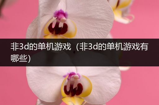 非3d的单机游戏（非3d的单机游戏有哪些）