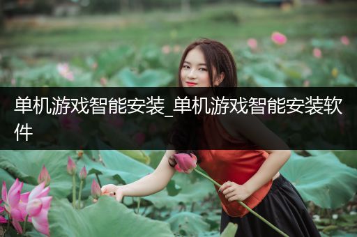 单机游戏智能安装_单机游戏智能安装软件