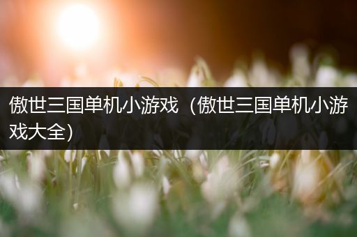 傲世三国单机小游戏（傲世三国单机小游戏大全）