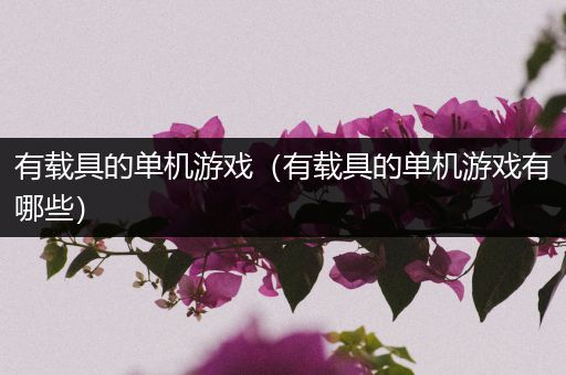 有载具的单机游戏（有载具的单机游戏有哪些）