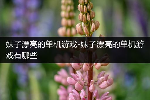 妹子漂亮的单机游戏-妹子漂亮的单机游戏有哪些