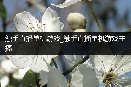 触手直播单机游戏_触手直播单机游戏主播