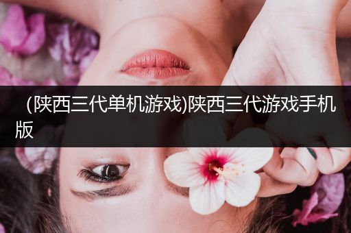 （陕西三代单机游戏)陕西三代游戏手机版