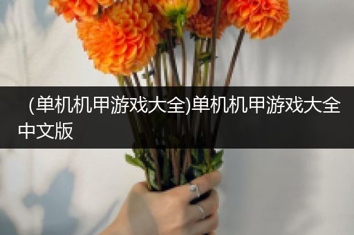（单机机甲游戏大全)单机机甲游戏大全中文版
