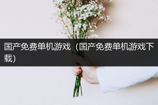 国产免费单机游戏（国产免费单机游戏下载）