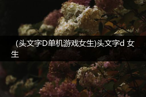 （头文字D单机游戏女生)头文字d 女生