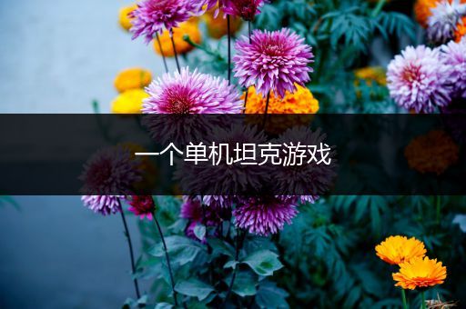 一个单机坦克游戏