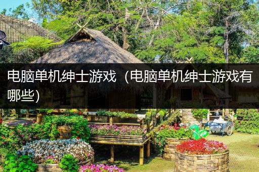 电脑单机绅士游戏（电脑单机绅士游戏有哪些）