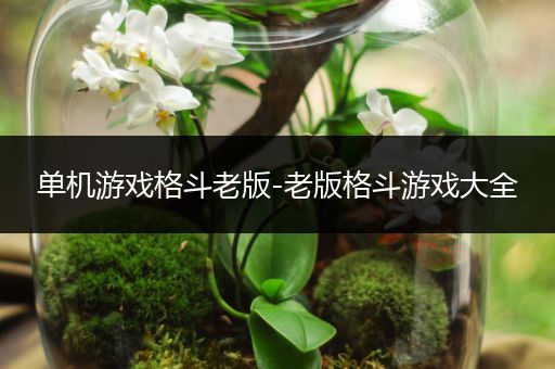 单机游戏格斗老版-老版格斗游戏大全