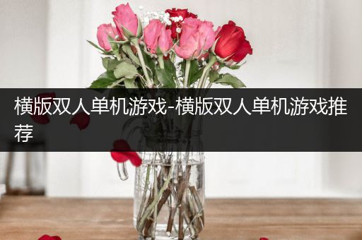 横版双人单机游戏-横版双人单机游戏推荐