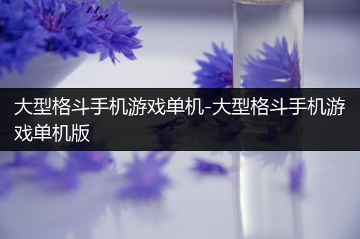 大型格斗手机游戏单机-大型格斗手机游戏单机版