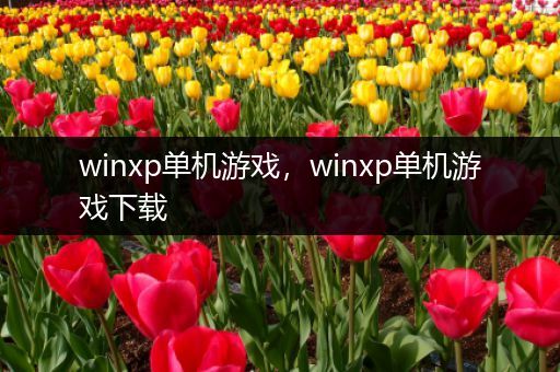 winxp单机游戏，winxp单机游戏下载