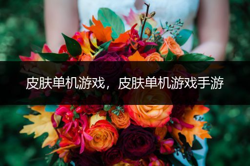 皮肤单机游戏，皮肤单机游戏手游