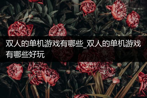 双人的单机游戏有哪些_双人的单机游戏有哪些好玩