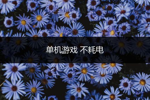 单机游戏 不耗电