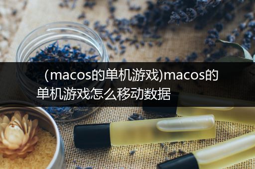 （macos的单机游戏)macos的单机游戏怎么移动数据