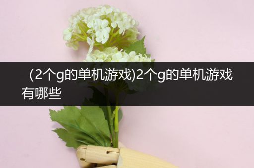 （2个g的单机游戏)2个g的单机游戏有哪些