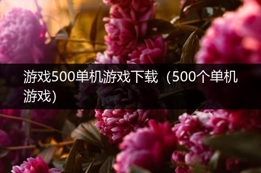 游戏500单机游戏下载（500个单机游戏）