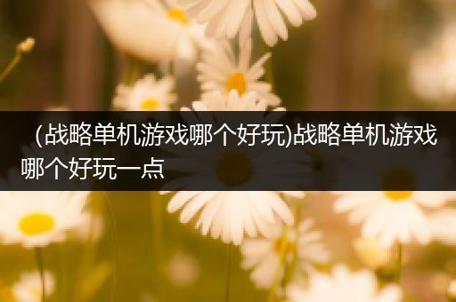 （战略单机游戏哪个好玩)战略单机游戏哪个好玩一点