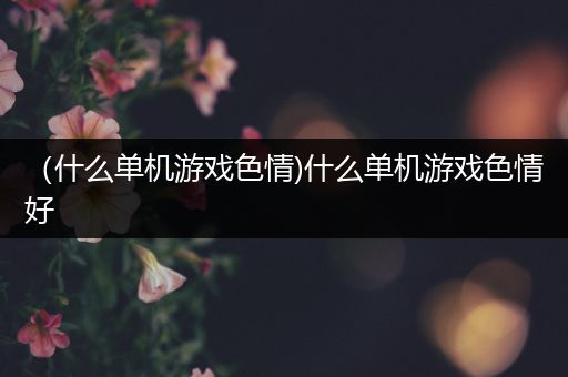 （什么单机游戏色情)什么单机游戏色情好