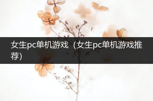 女生pc单机游戏（女生pc单机游戏推荐）