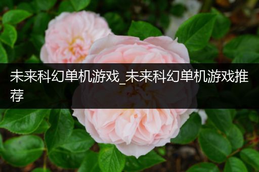 未来科幻单机游戏_未来科幻单机游戏推荐