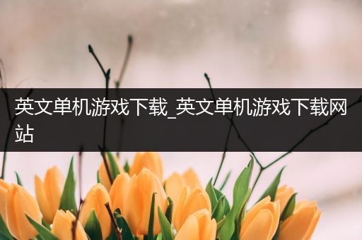 英文单机游戏下载_英文单机游戏下载网站