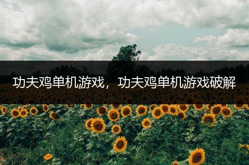 功夫鸡单机游戏，功夫鸡单机游戏破解