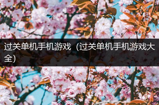 过关单机手机游戏（过关单机手机游戏大全）