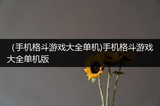 （手机格斗游戏大全单机)手机格斗游戏大全单机版